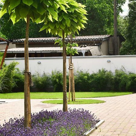Villa Veda 자흐데니크 외부 사진